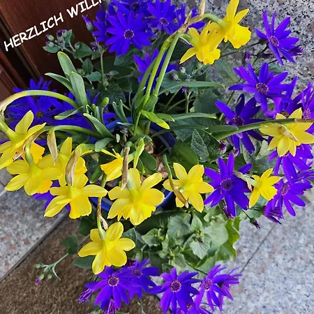 Appartamento Neanderland-apartment