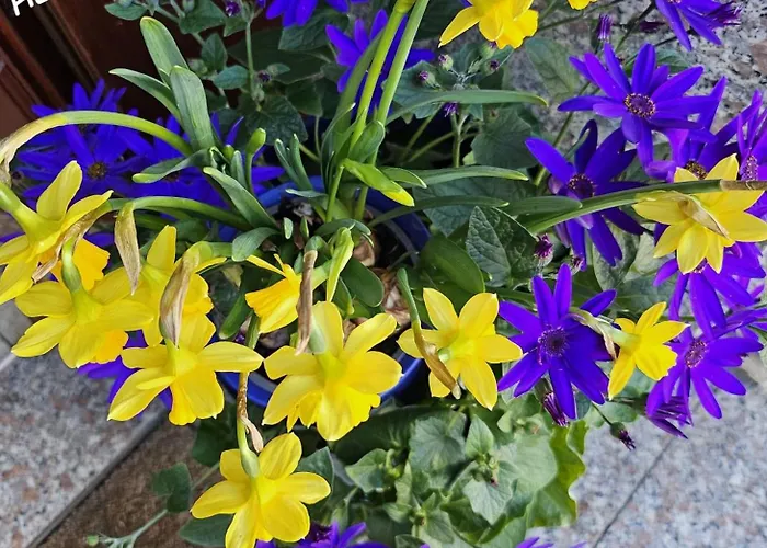 Appartamento Neanderland-apartment